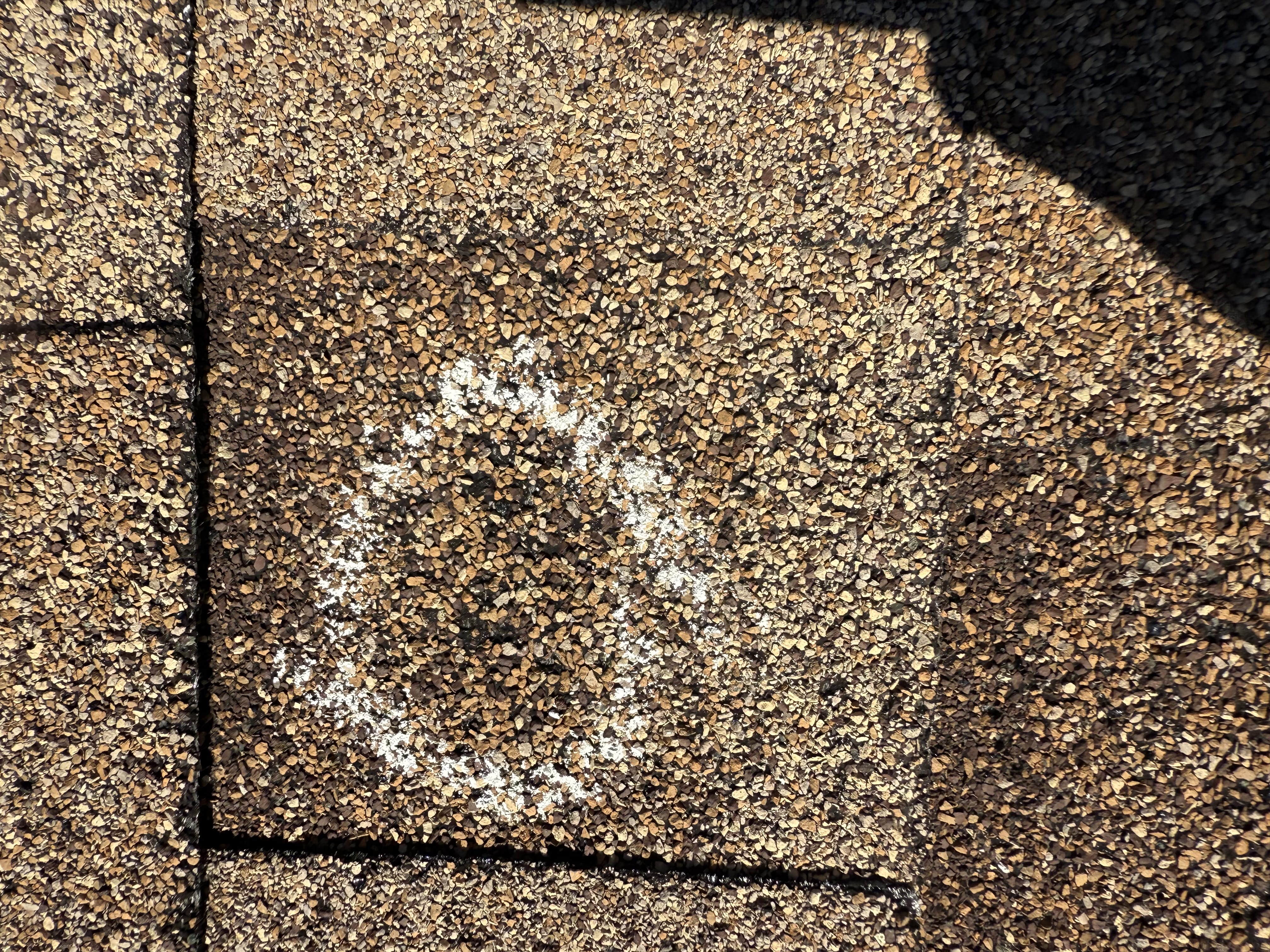 Close-up of an asphalt shingle showing hail impact and granule loss during a Minneapolis roof inspection